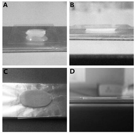 Ultrathin I/II type collagen composite scaffold and preparation method thereof