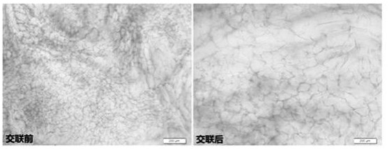 Ultrathin I/II type collagen composite scaffold and preparation method thereof