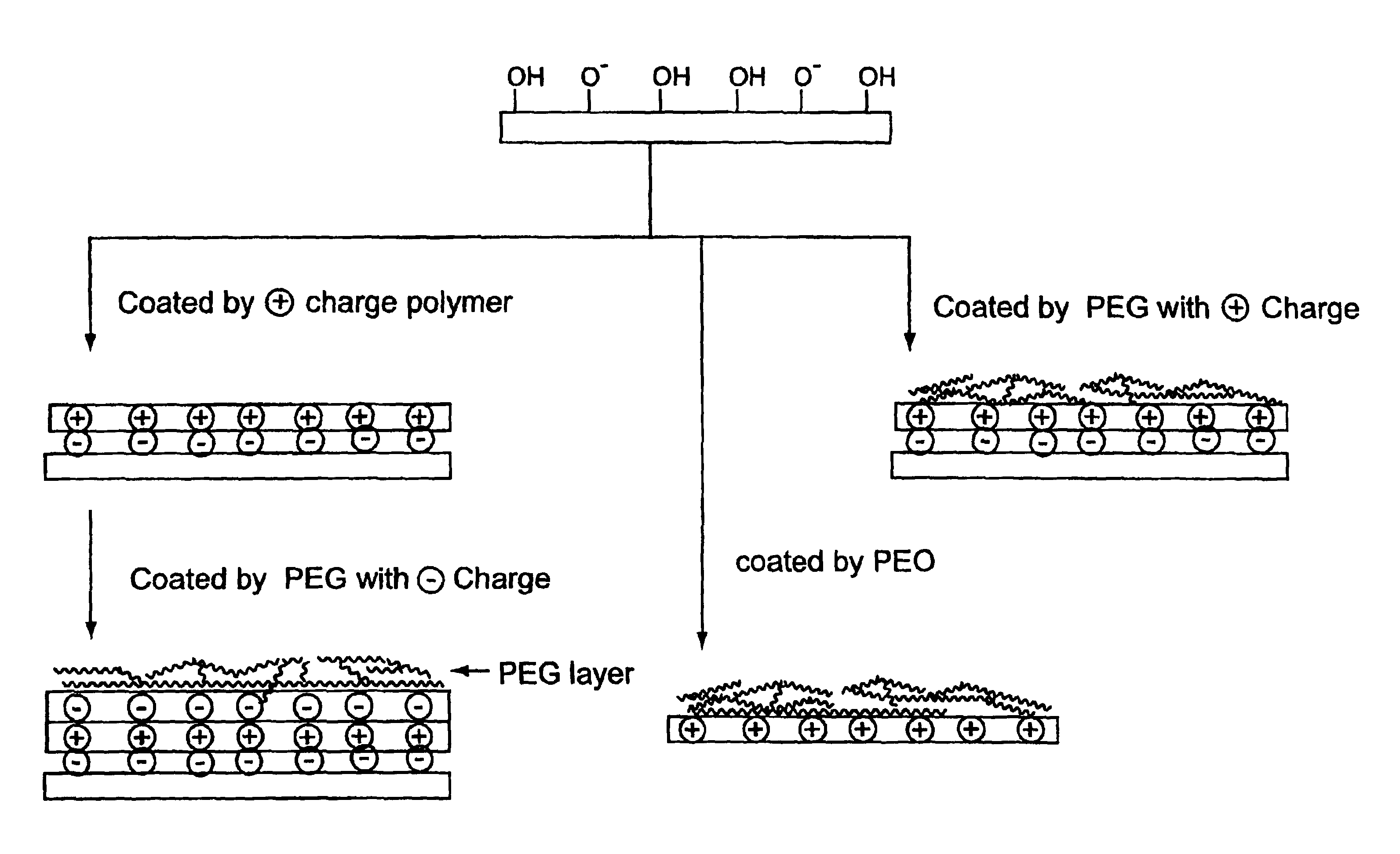 Surface coating for microfluidic devices that incorporate a biopolymer resistant moiety