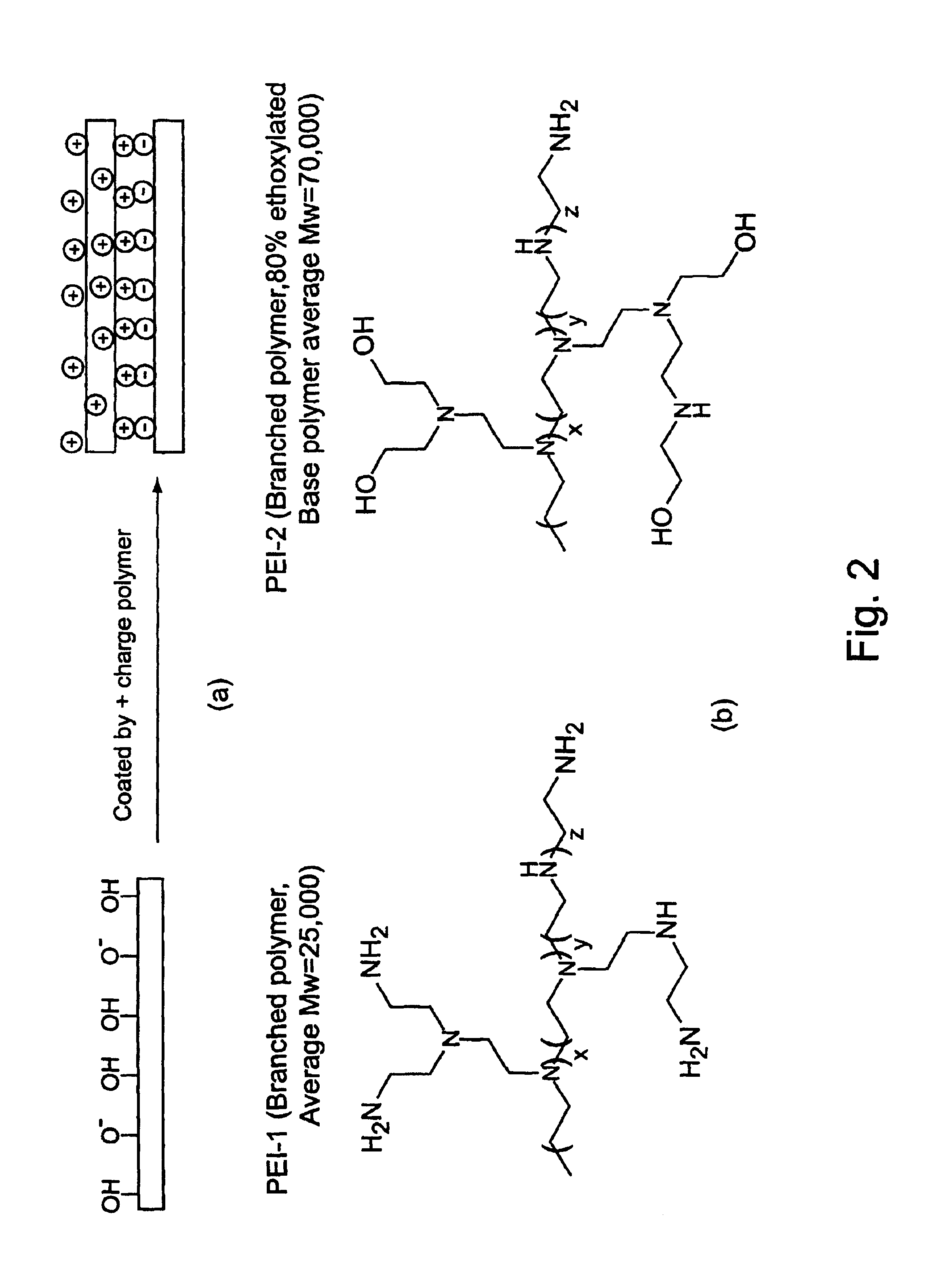 Surface coating for microfluidic devices that incorporate a biopolymer resistant moiety