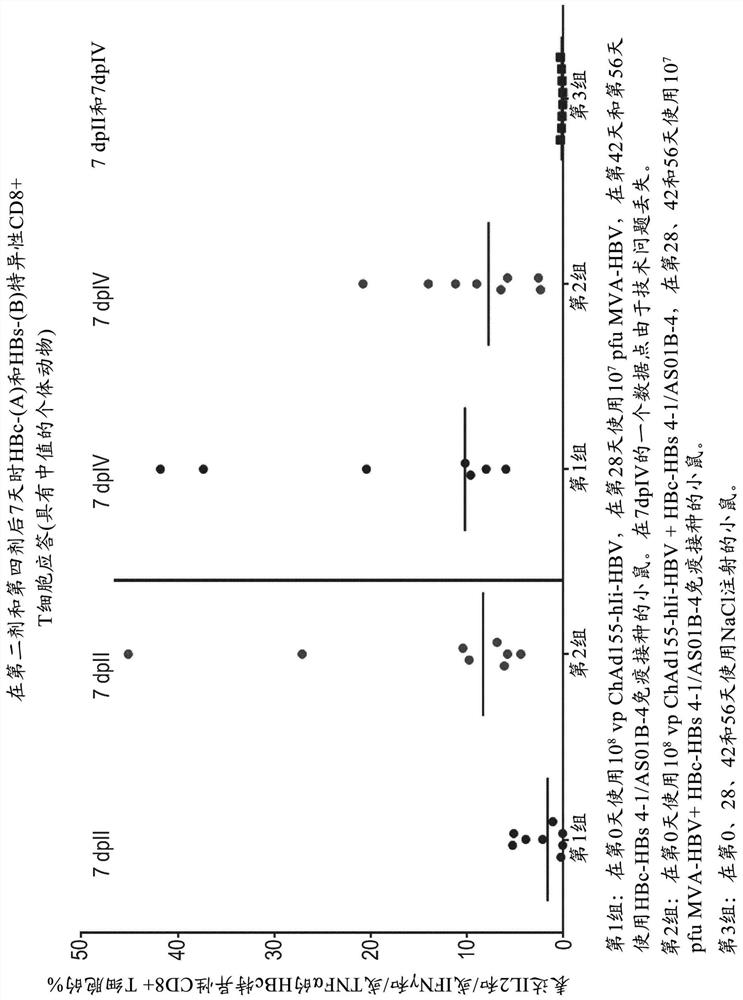 Hepatitis b immunisation regimen and compositions