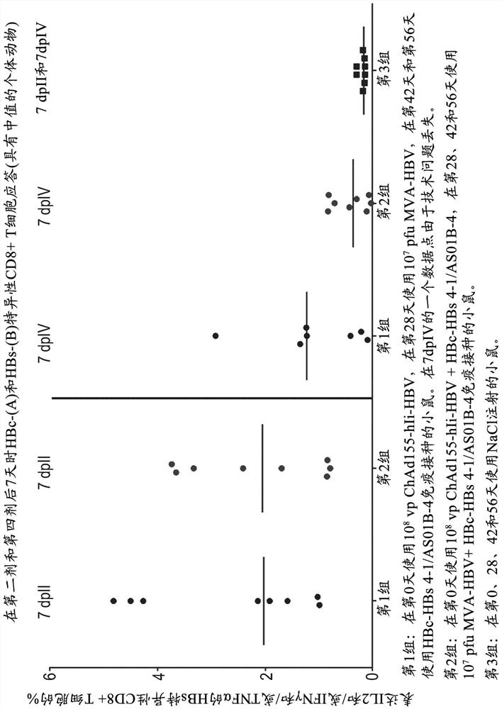 Hepatitis b immunisation regimen and compositions