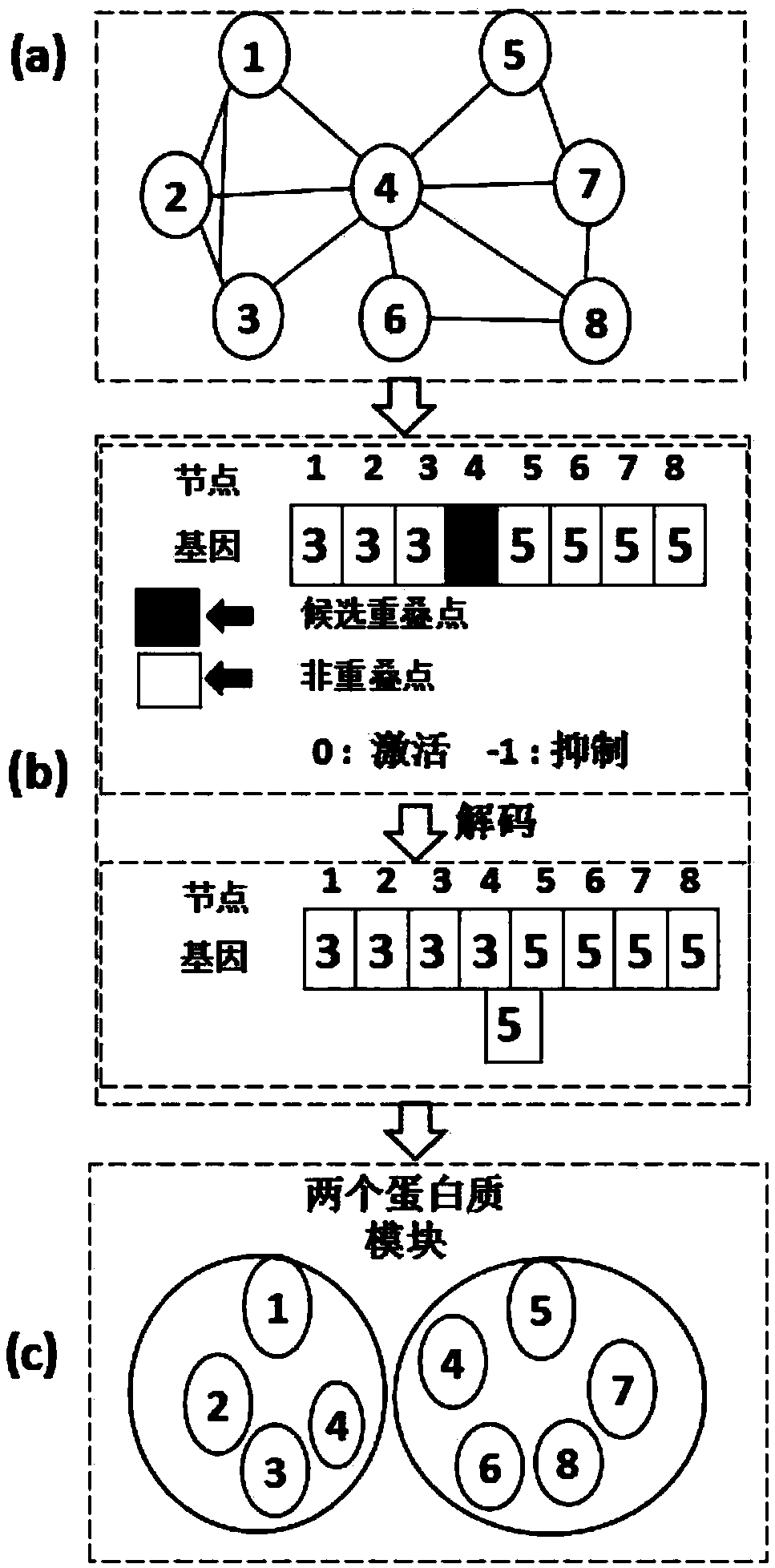 Protein network module mining method based on multi-target optimization