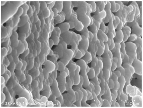 A preparation method of a submicron rare earth zirconate ceramic bulk material