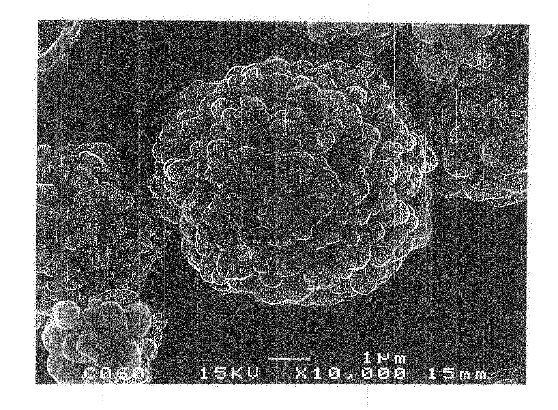 Powders for positive-electrode material for lithium secondary battery, process for producing the same, positive electrode for lithium secondary battery employing the same, and lithium secondary battery