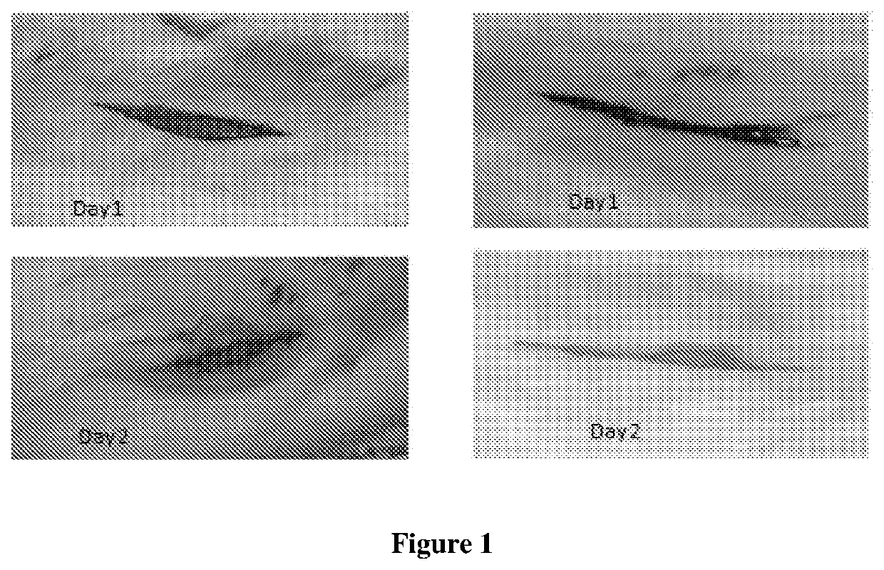 Pharmaceutical wound healing composition