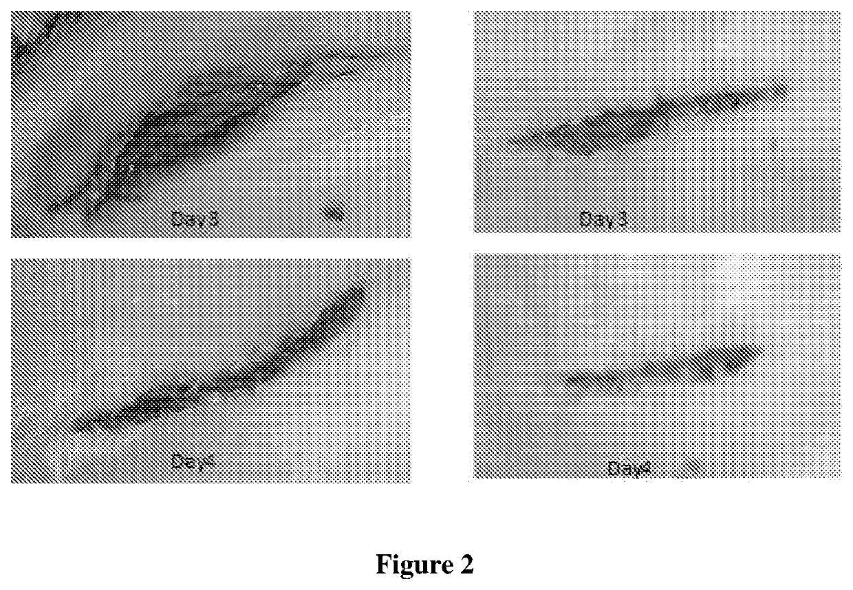 Pharmaceutical wound healing composition