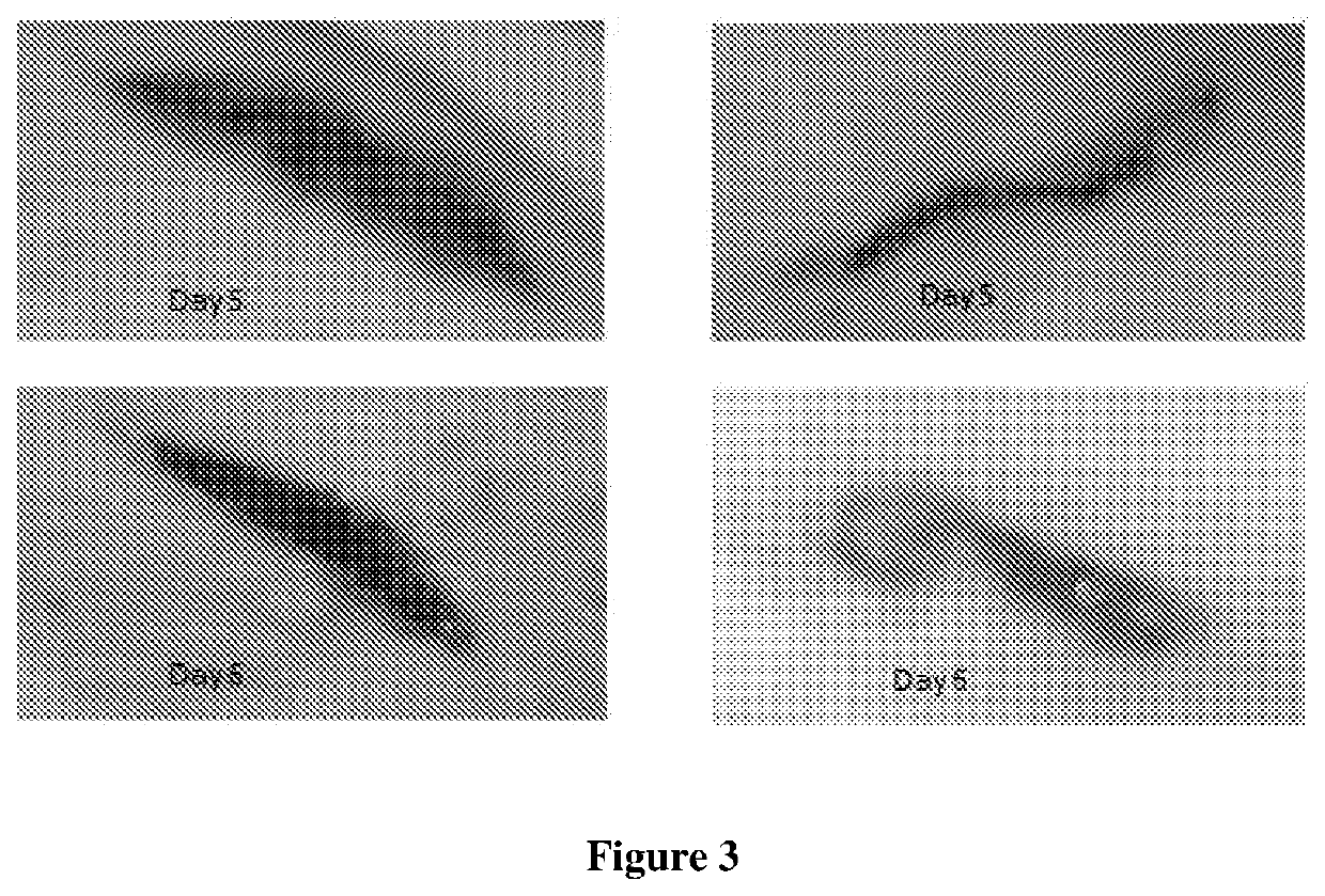 Pharmaceutical wound healing composition