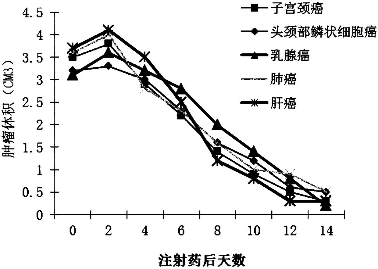 A double-copy human p53 gene recombinant adenovirus and its preparation method