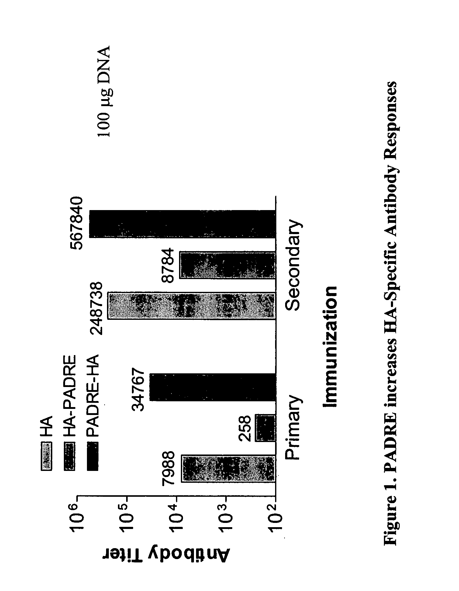 Inducing immune responses to influenza virus using polypeptide and nucleic acid compositions