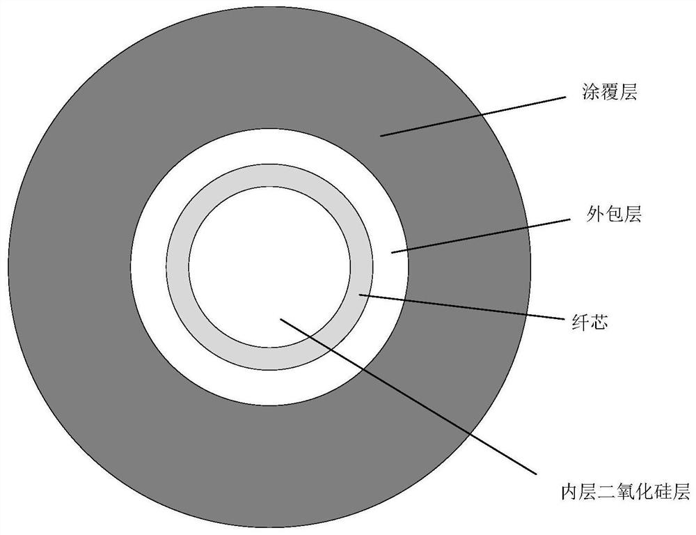 Ring fiber core beak-shaped optical fiber optical tweezer system with stable capturing function