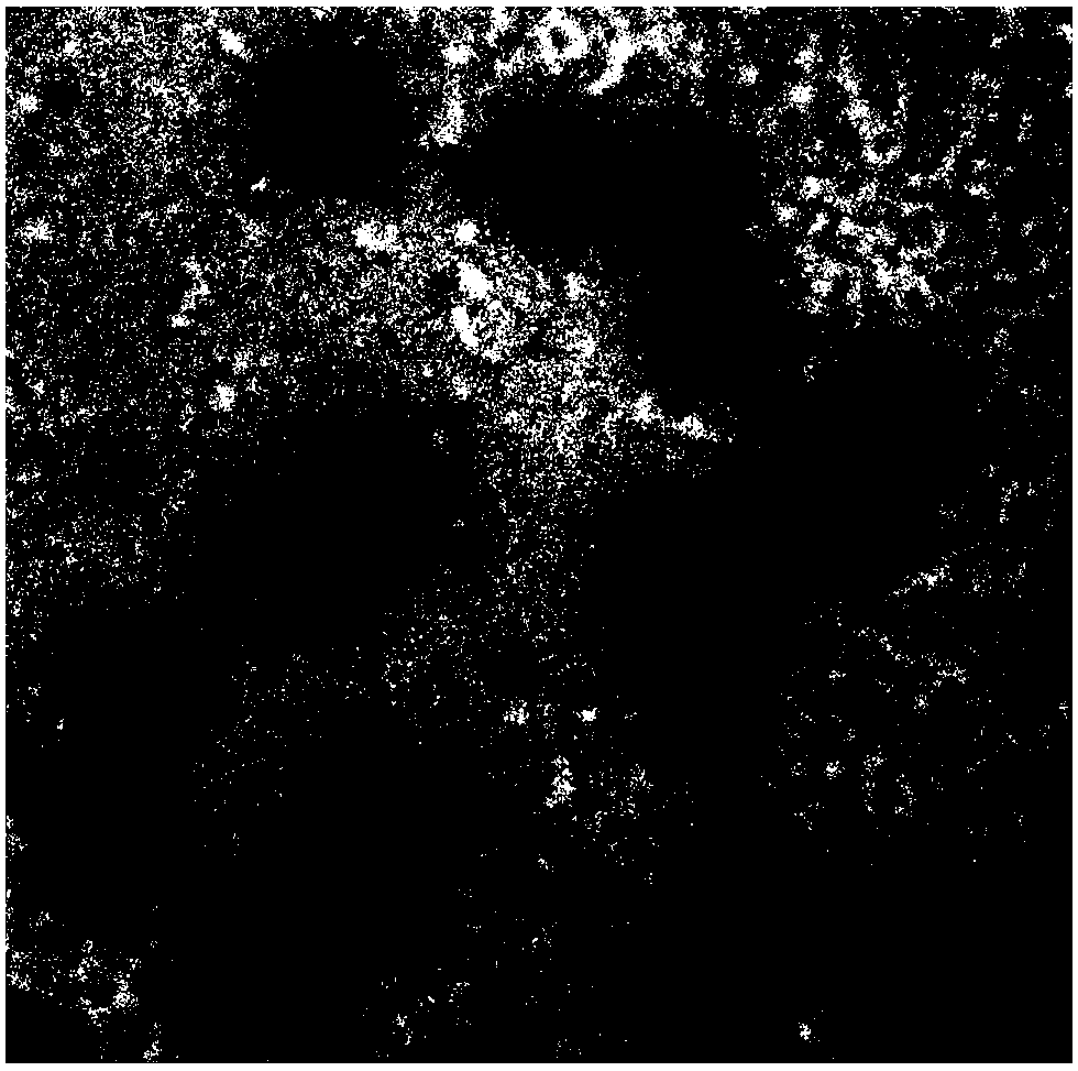 Composite nanometer particle as well as preparation method and application thereof