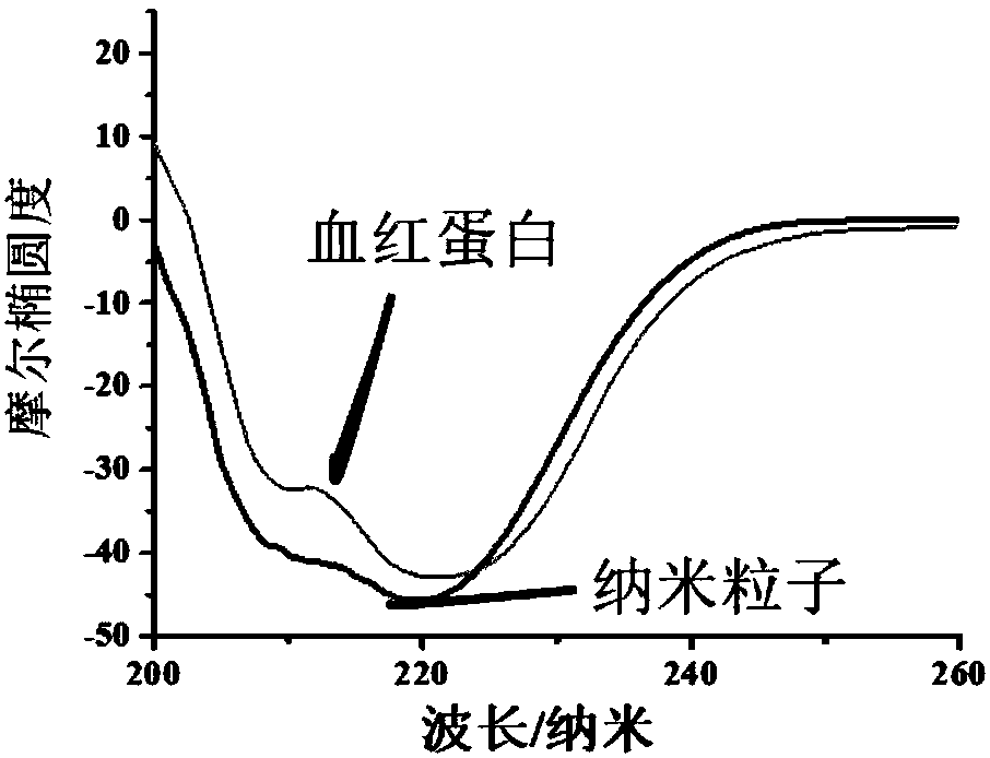 Composite nanometer particle as well as preparation method and application thereof