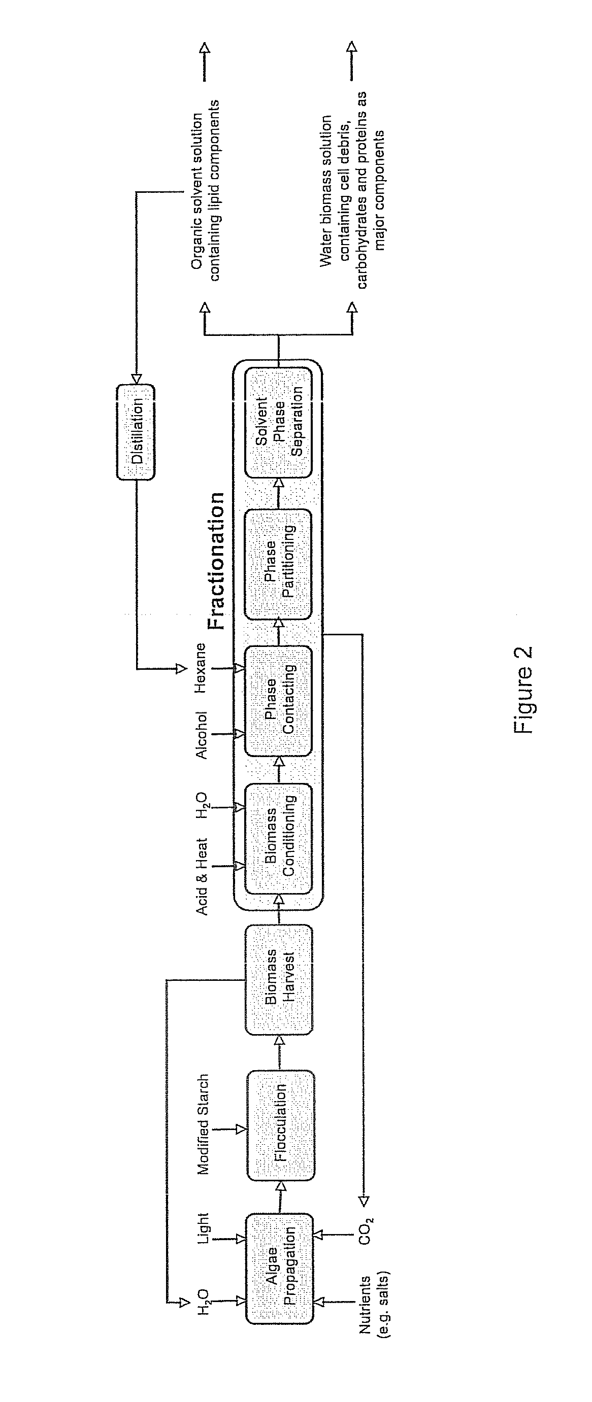 Algae biomass fractionation