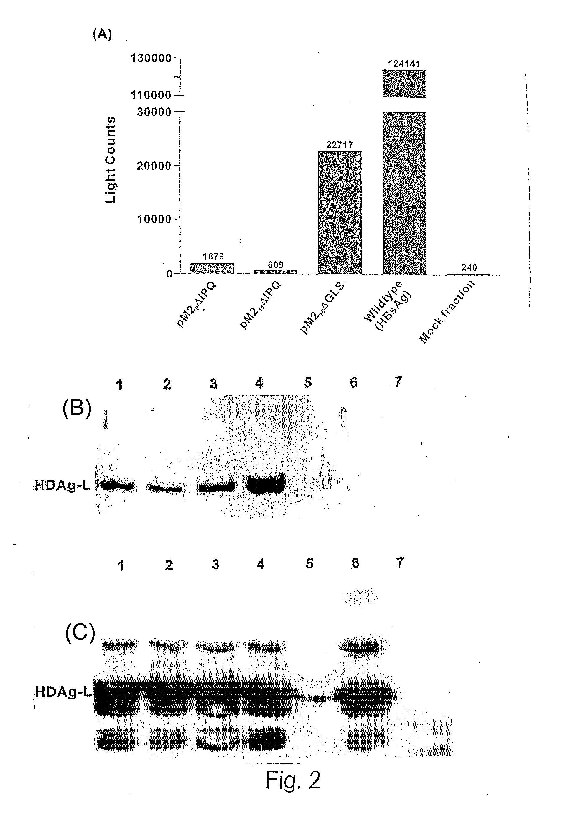 Vaccine delivery system