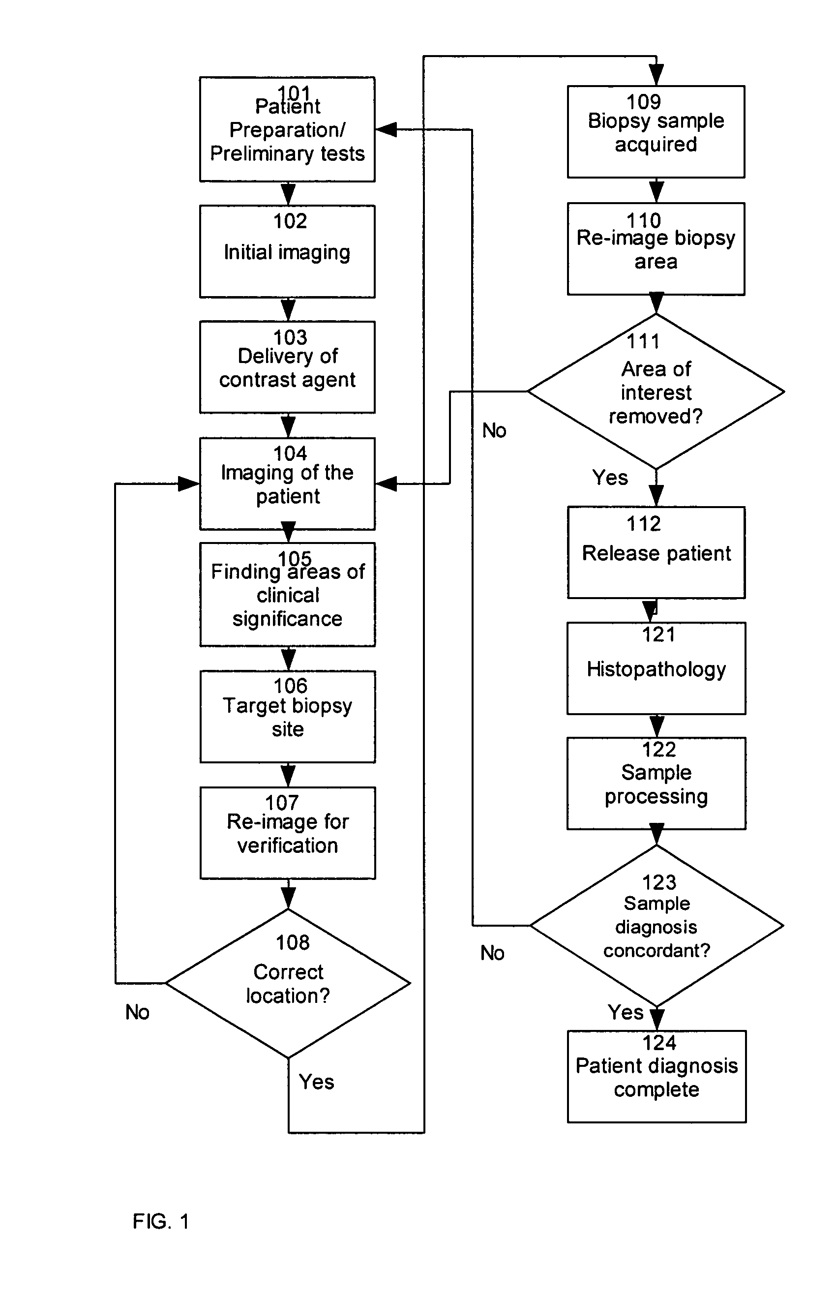 Ex vivo verification of biopsy tissue samples