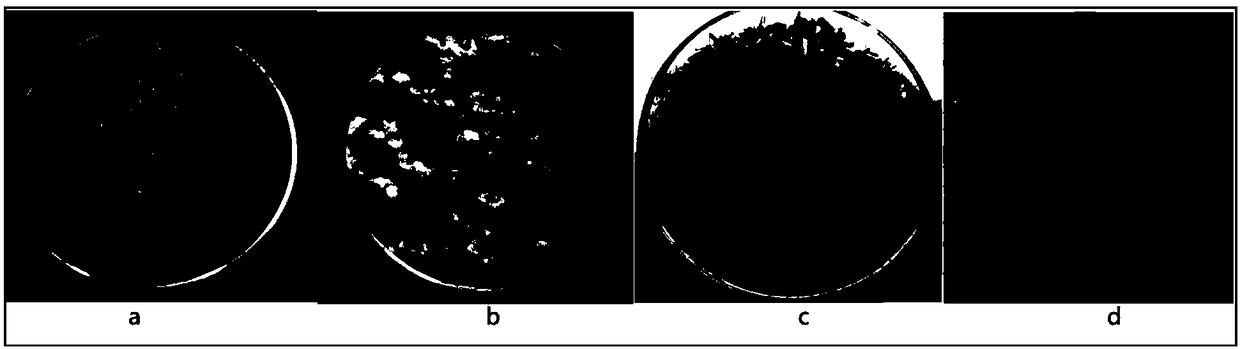 Edible mushroom bag based on walnut shell/dregs and preparation method and application thereof