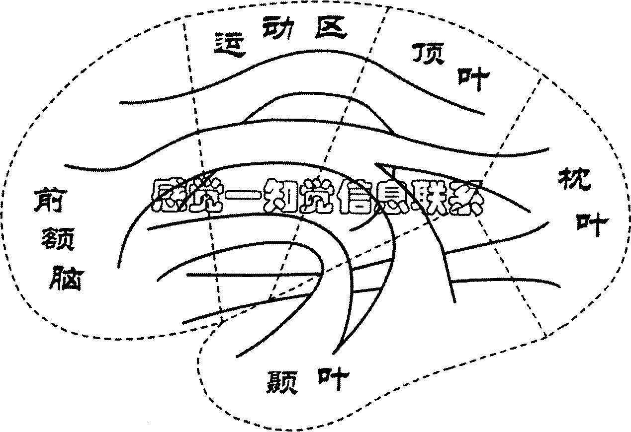 Cognition logic machine and its information processing method