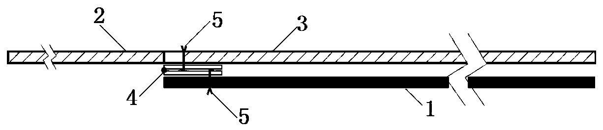 Dual-function snake catching device