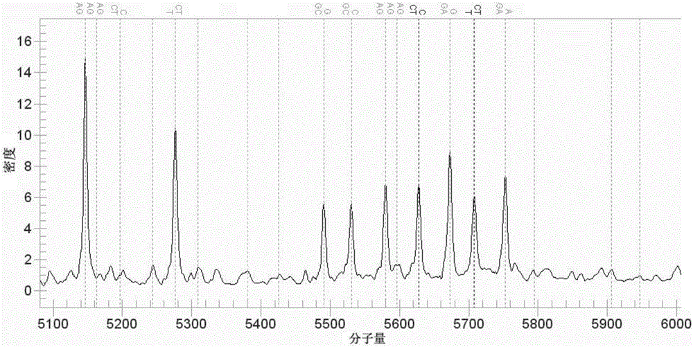 A test kit for detecting vkh syndrome