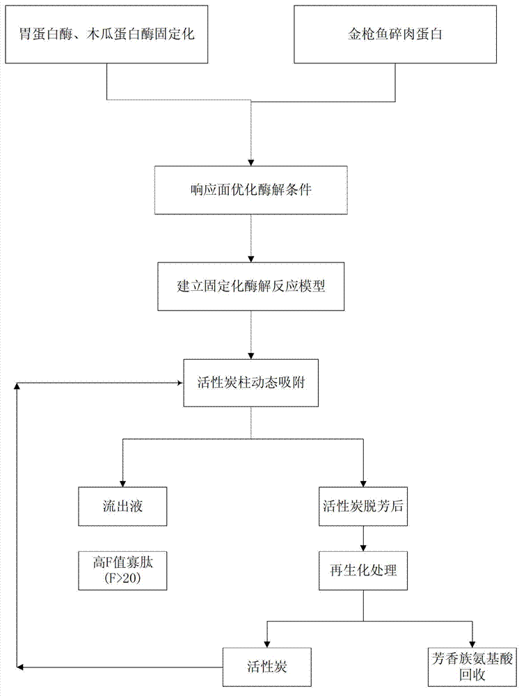 Preparation method of high-F-value tuna oligopeptide