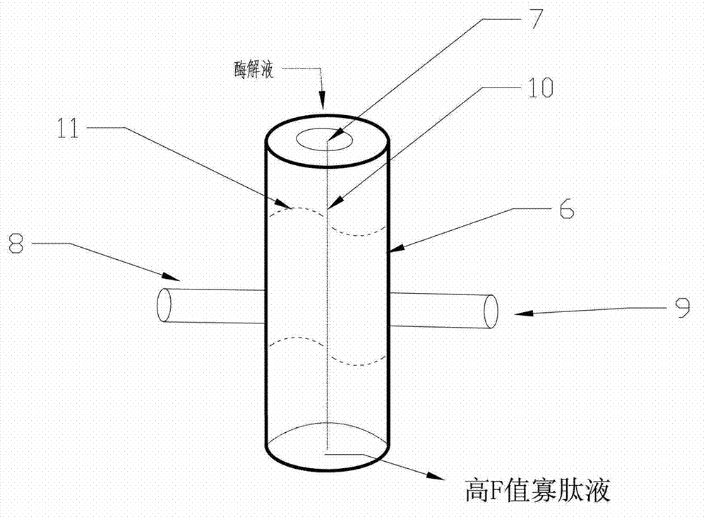 Preparation method of high-F-value tuna oligopeptide