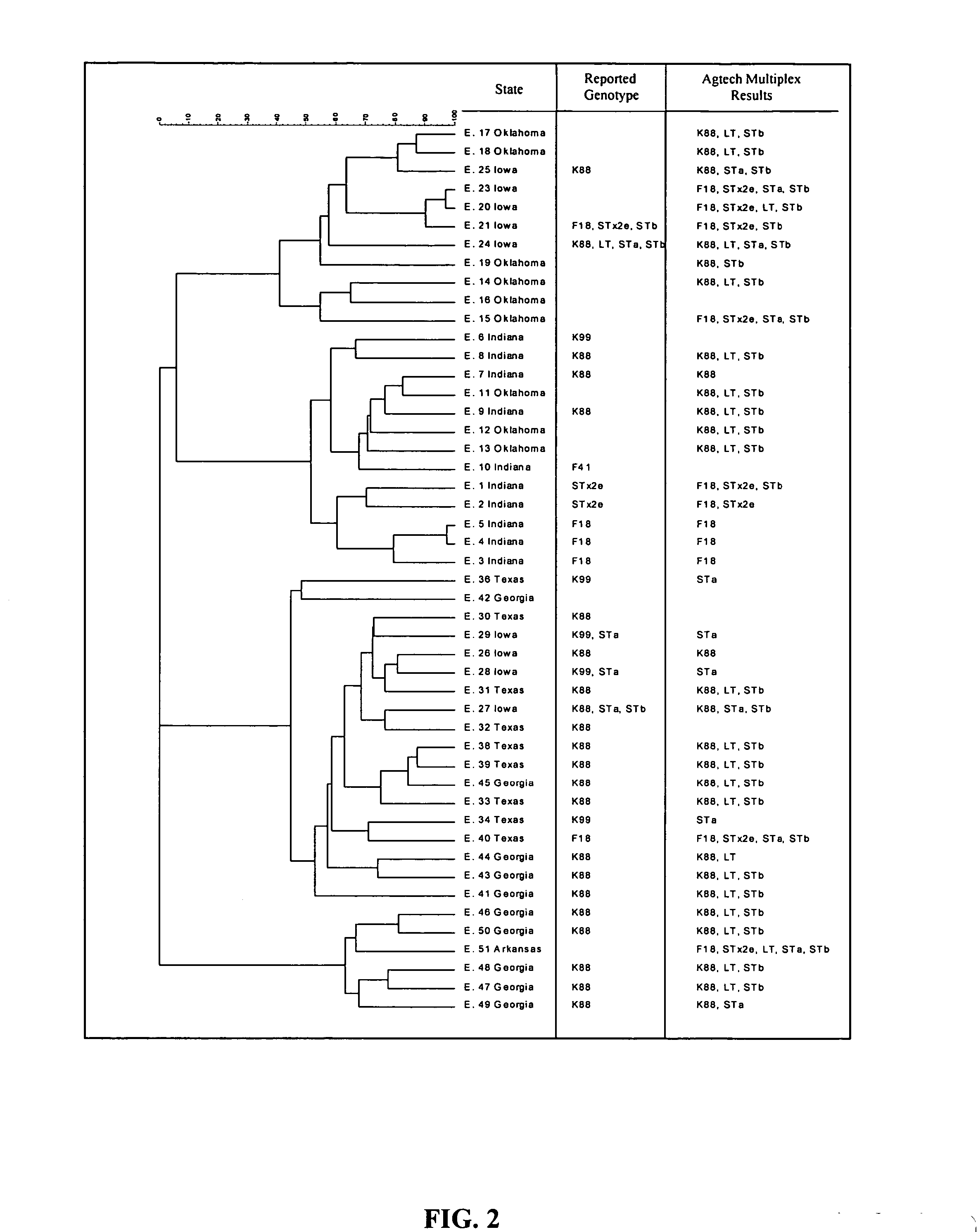 Method and composition for reducing E. coli disease and enhancing performance