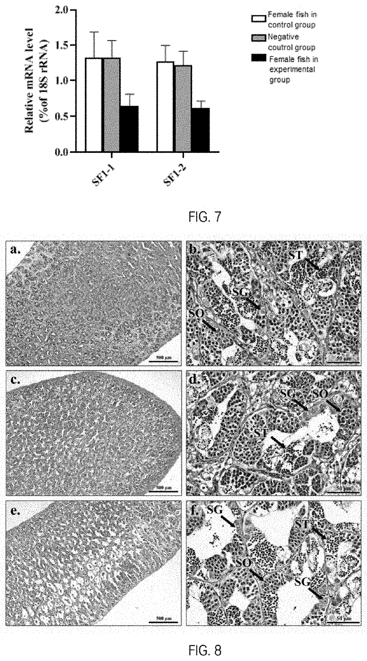 Combination of antisense RNA sequences and use in the production of abortive tilapia