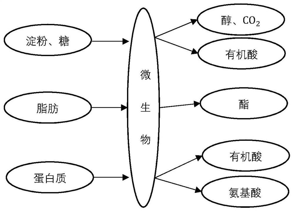 A method for generating the microbial content curve of rice wine sterilization