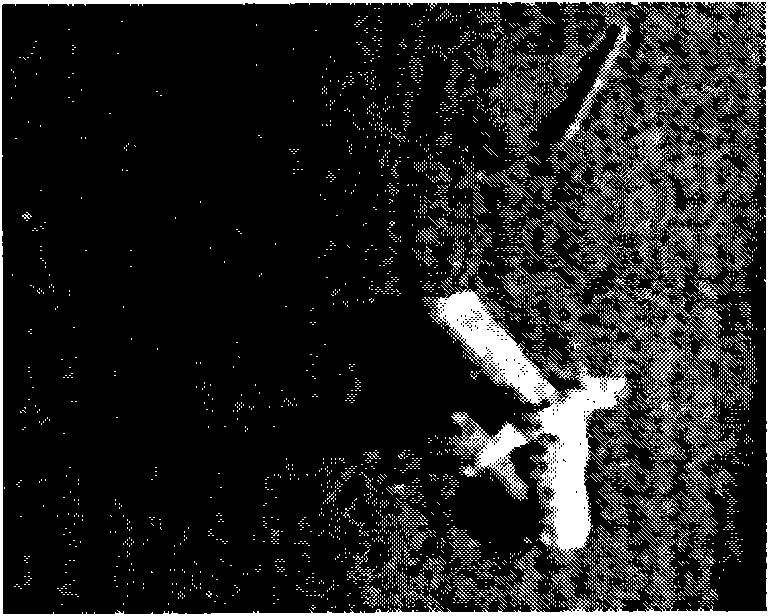 Side-scanning sonar image region-of-interest extracting method based on region growing