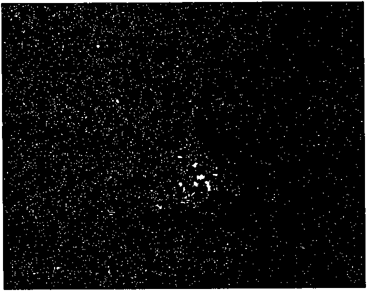 Side-scanning sonar image region-of-interest extracting method based on region growing