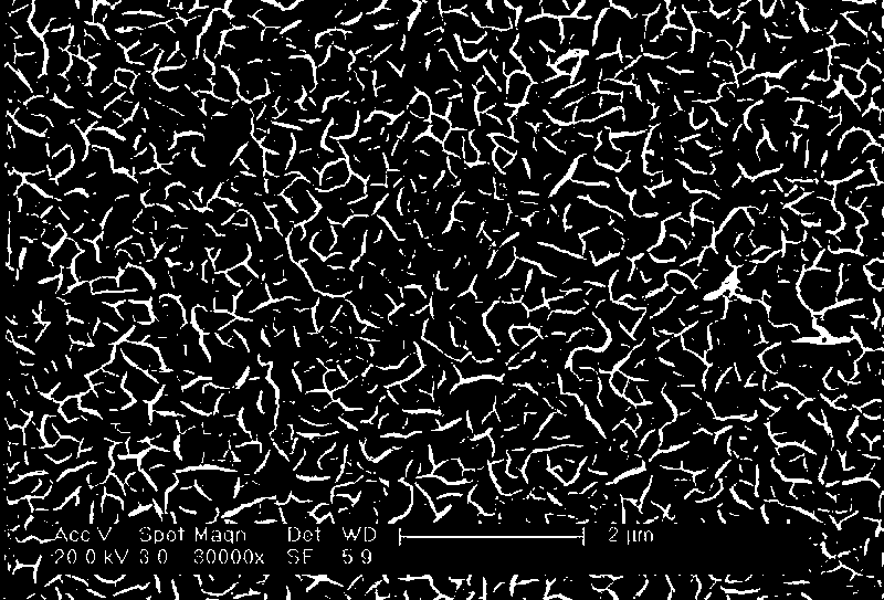 Cancellous bone structure simulating artificial bone having ultra-low elasticity modulus and preparation method of artificial bone