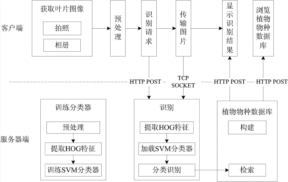 Plant species identification method based on leaf hog characteristics and intelligent terminal platform