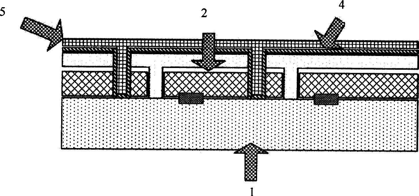 Passivation encapsulation method for back electrode of solar cell