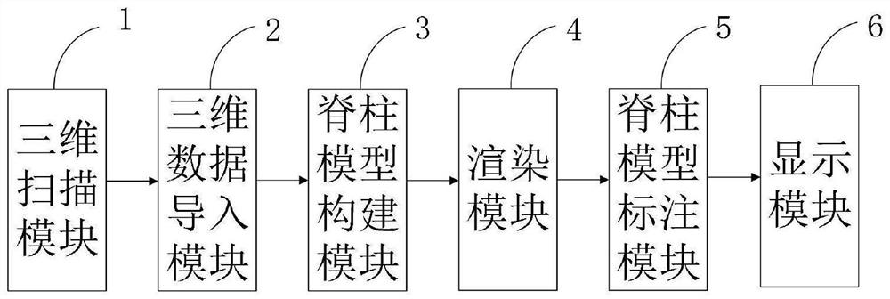 Spine surgery internal fixation model for teaching and doctor-patient communication