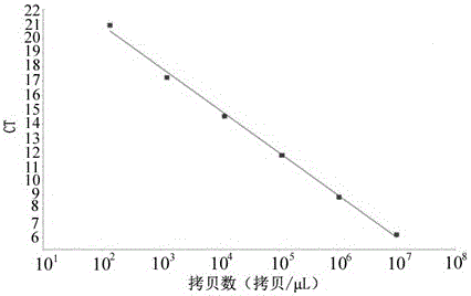 Construction of pd-l1 recombinant plasmid in porcine peripheral blood mononuclear lymphocytes, real-time detection method of gene abundance and its application