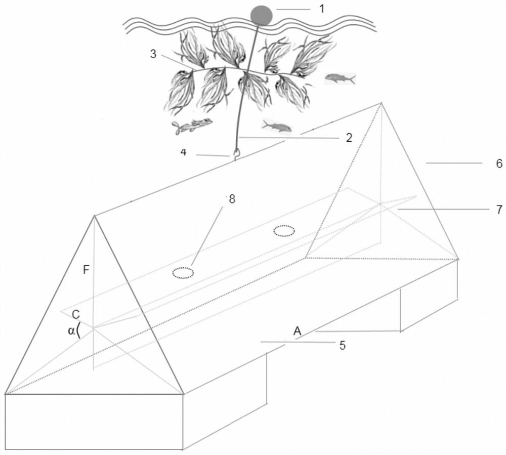 Device and method for constructing near-shore multi-level ecological fishery mode