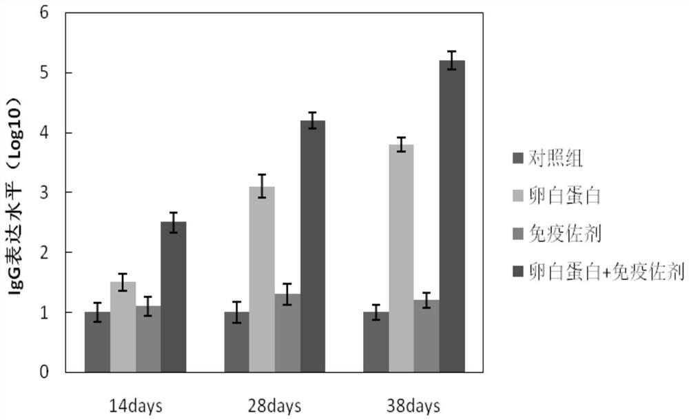 A kind of immunoenhancing composition, preparation method and application thereof