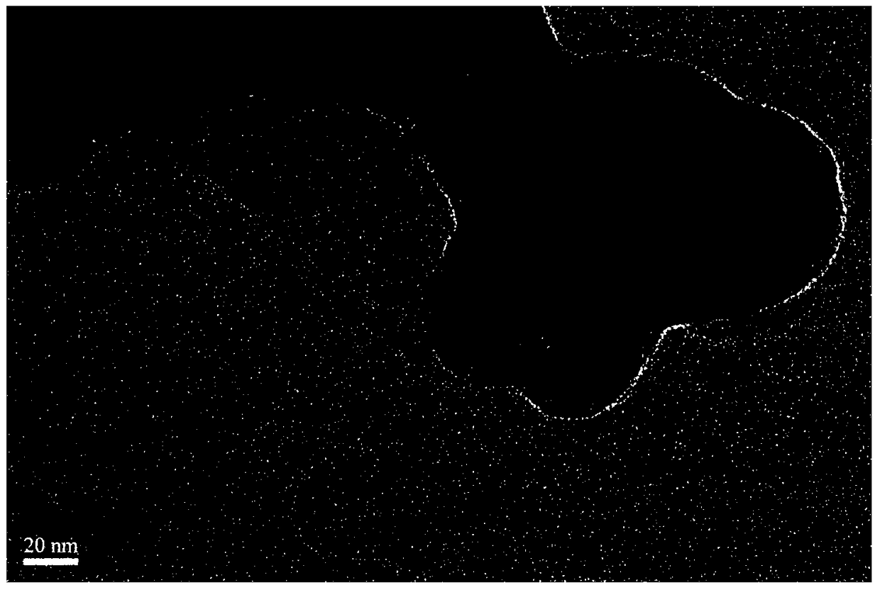 A kind of multifunctional probe and its preparation method and application