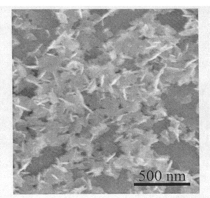 Method for preparing copper sulphide nanosheet