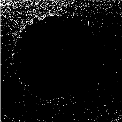 A kind of zirconium dioxide mesoscopic crystal and its preparation method and application