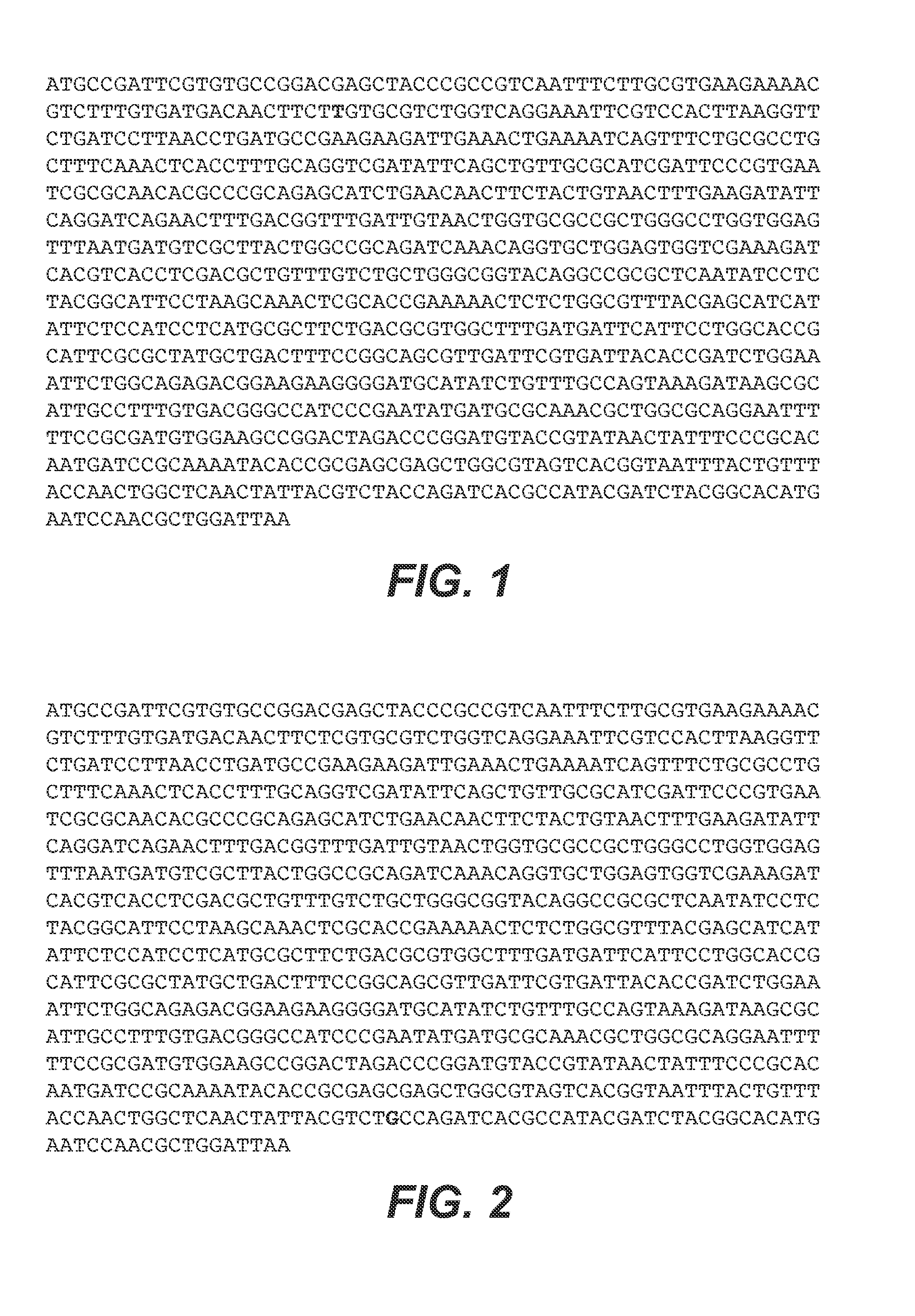 Methods and compositions for preventing norleucine misincorporation into proteins