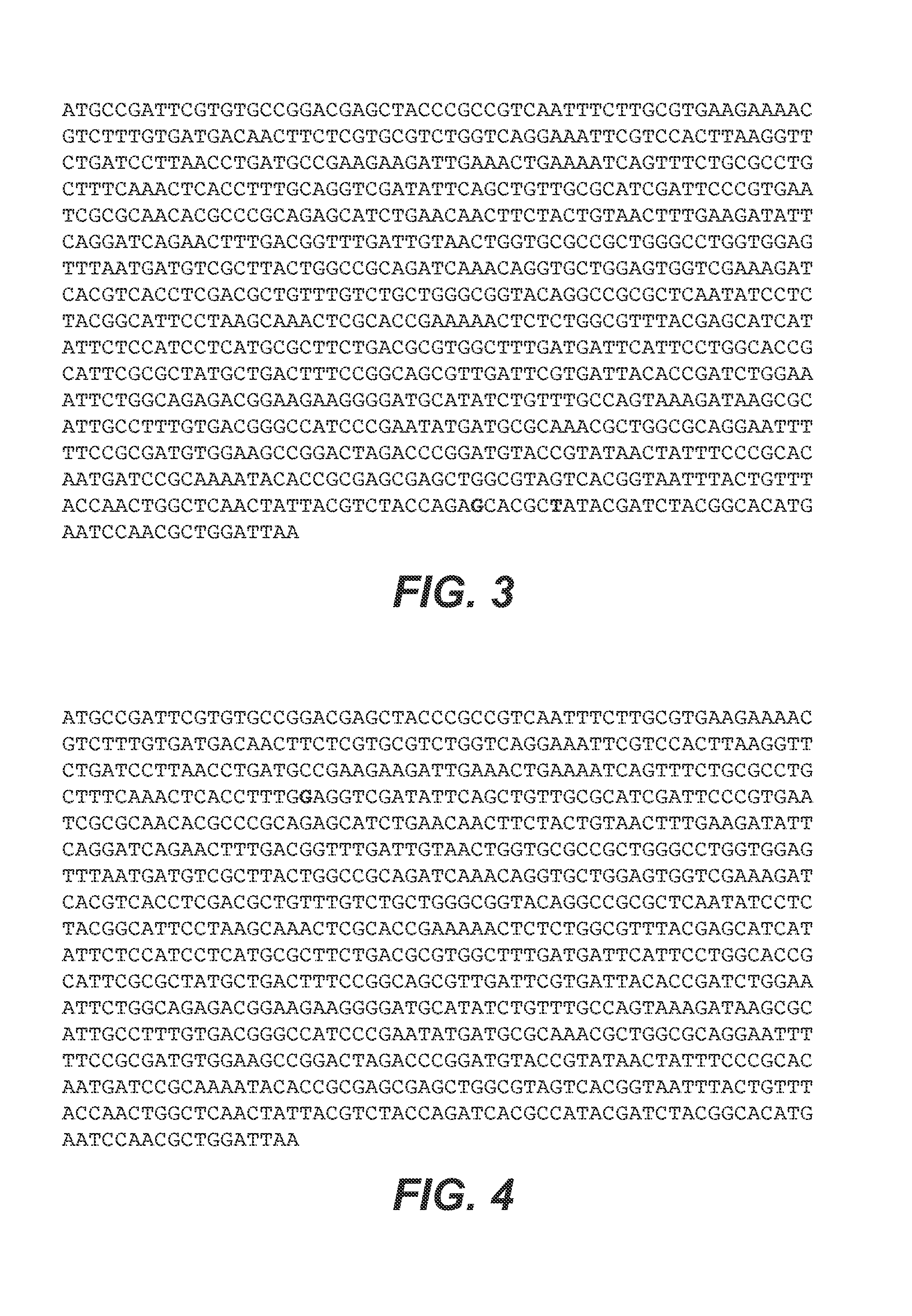 Methods and compositions for preventing norleucine misincorporation into proteins