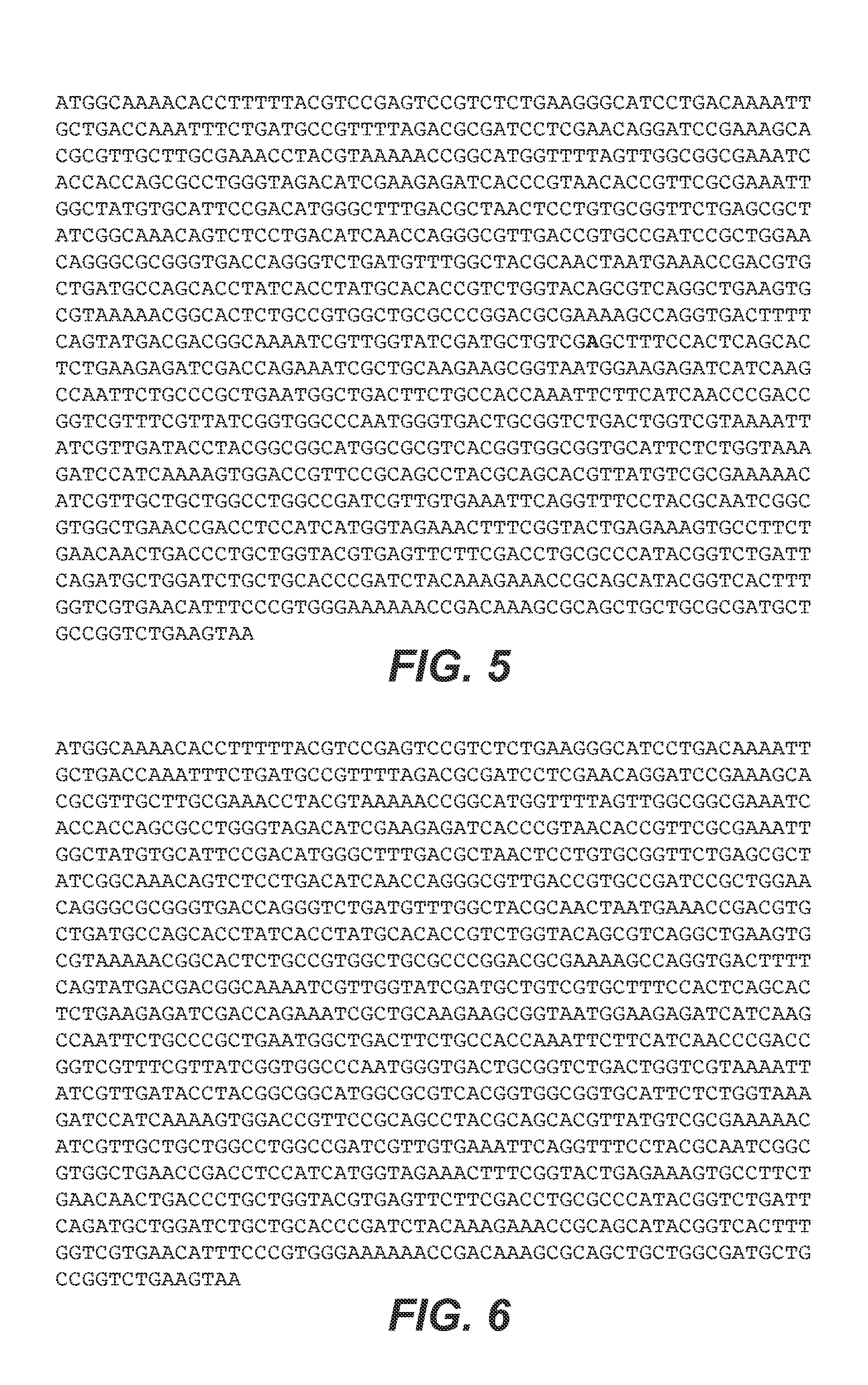 Methods and compositions for preventing norleucine misincorporation into proteins