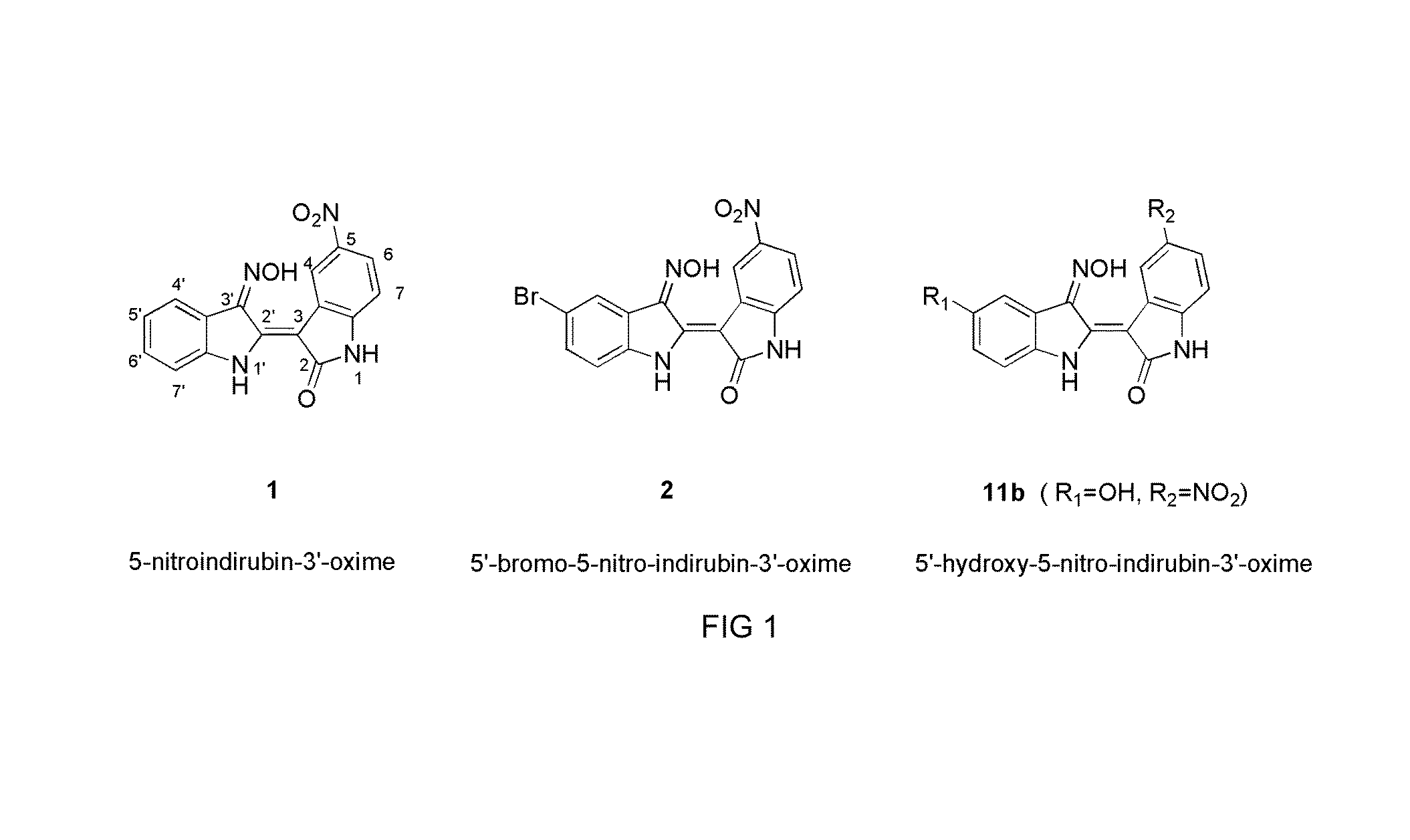 Indirubin-3'-oxime derivatives as potent cyclin dependent kinase inhibitors