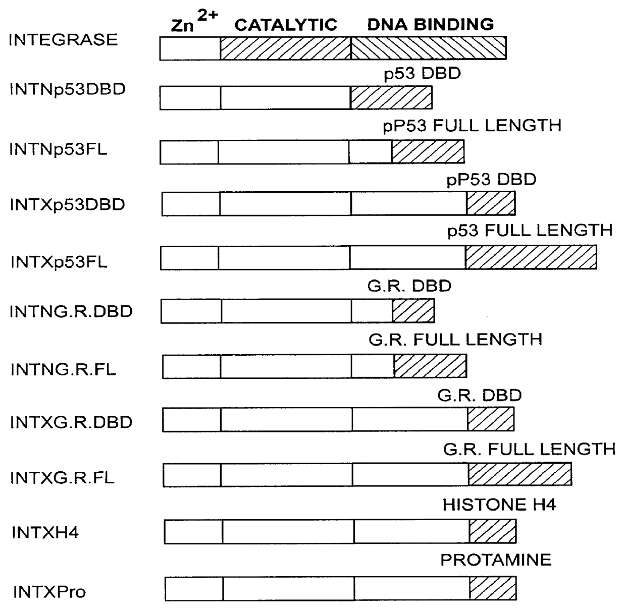 Targeted gene discovery