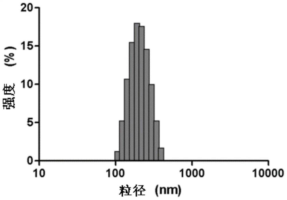 Bionic cell membrane-inner core nanoparticle as well as preparation method and application thereof