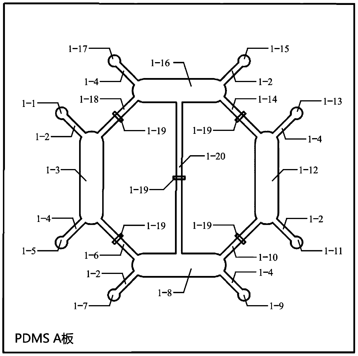 Human micro-ecological system chip and using method thereof