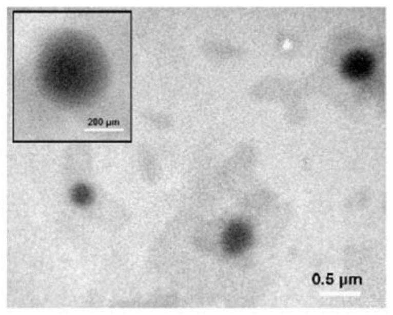 Peptide functionalized metal-loaded porphyrin phase-change nanoparticle and preparation method and application thereof