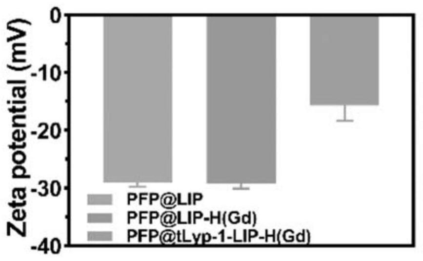 Peptide functionalized metal-loaded porphyrin phase-change nanoparticle and preparation method and application thereof